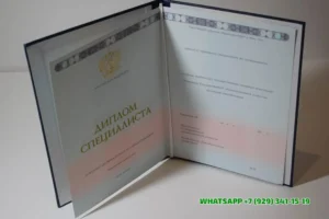 Купить диплом Оренбургского филиала СГА — Современной гуманитарной академии в Новороссийске